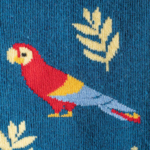 Skarpetki z Papugami