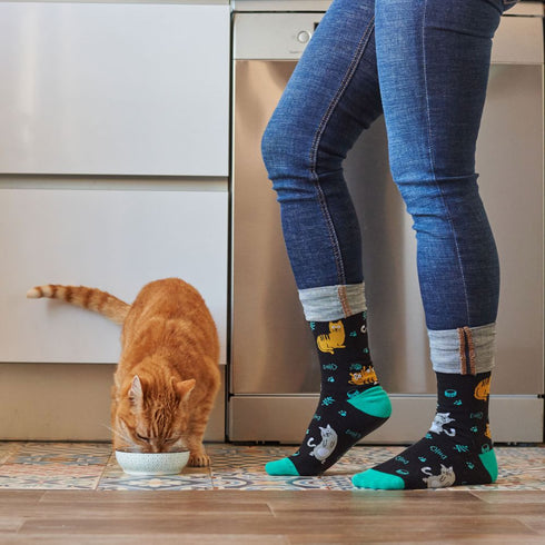 Skarpetki w Koty seledynowe